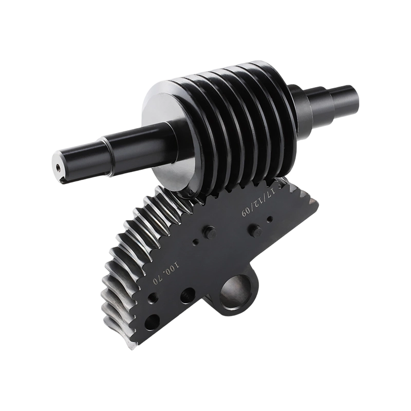 Hei&szlig;er Verkauf: Schneckenrad f&uuml;r Lebensmittelmaschinen